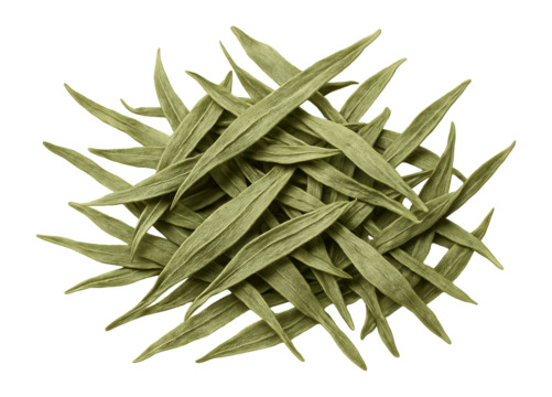 Dried tarragon leaves with a narrow, elongated form