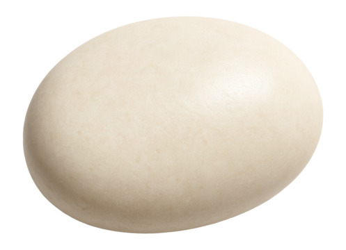 Oval-shaped pebble with a smooth surface and light cream hue