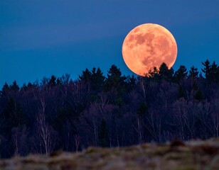 Large, orange moon rising over a dark forest silhouetted against a twilight sky