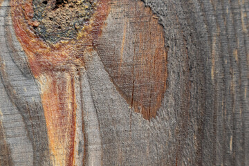 The background is made of old wood. Rustic style wallpaper. Beautiful wood texture pattern.