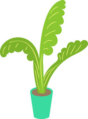 공기정화식물 화분