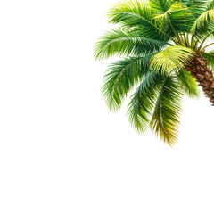 Fototapeta premium Isolated illustration of a tropical palm tree with green leaves on a white background
