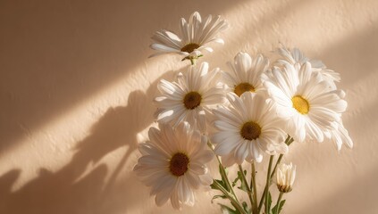 Soft-focus bouquet of white daisies bathed in warm sunlight casts long shadows on a pale peach background