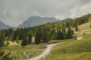 Slovenia's most beautiful alpine plateaus – Velika Planina