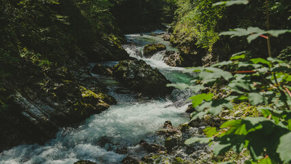 Vintgar Gorge in Slovenia's Julian Alps