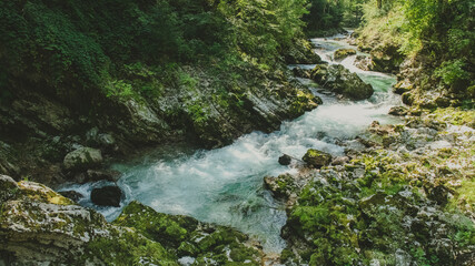 Vintgar Gorge in Slovenia's Julian Alps