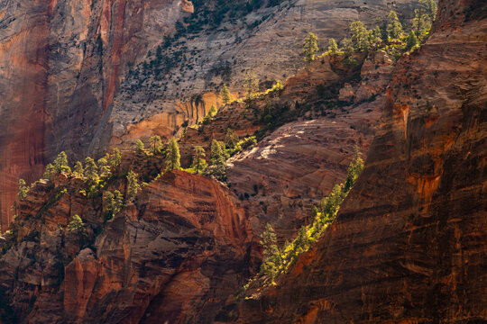 Morning light on cliff in Zion National Park Utah