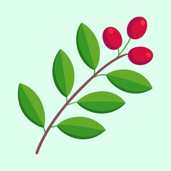 Stylized Berries on Branch with Green Leaves on a Pale Background