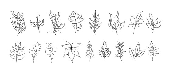Fototapeta premium A set of twigs on a white background. Line Art. Vector. A set of twigs on a white background. Line Art. Vector. 