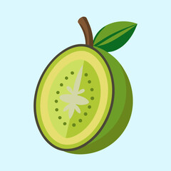 Stylized green fruit slice with visible seeds and stem on blue background