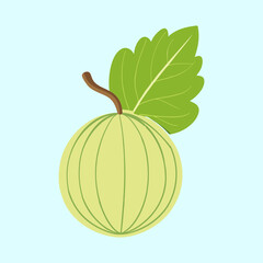 Illustration of a Simple Light Green Gooseberry with a Leaf on Light Blue