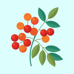 Stylized Vector Illustration of Mountain Ash Berries and Green Leaves Branch