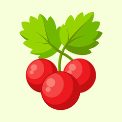 Cartoon illustration of three red cherries with bright green leaves