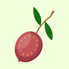 Stylized illustration of a maroon olive with a branch and leaves