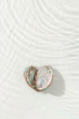 Minimal aesthetic still life, heart shape pearlescent seashells at sunlight, waves seawater, natural beauty organic forms. Shell as symbol of love, travel, tourism visual, vacation rest concepts
