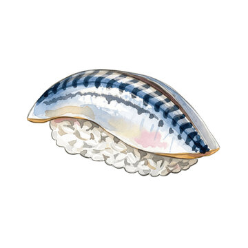 tuna sushi