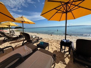 lounge chairs on the beach