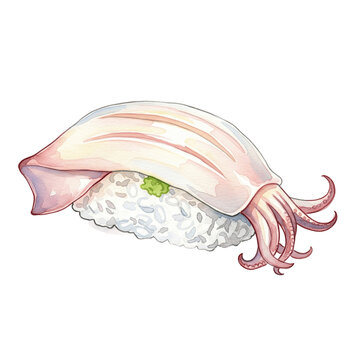 sea shell isolated on white