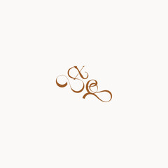 wedding initial concept EX luxury minimalist logo design caligraphic style monogram letter