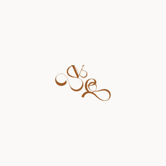 wedding initial concept EV luxury minimalist logo design caligraphic style monogram letter