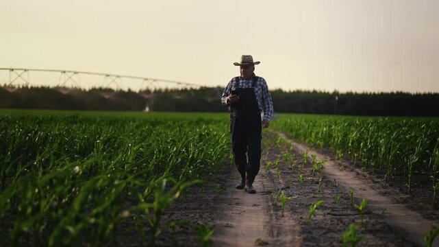 Countryman with smartphone walking in agricultural fields, modern agribusiness. Picturesque rural landscape in summer day, full-length shot with elderly farm worker, cinematic slow motion shot