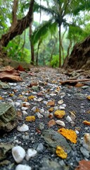 Obraz premium Forest path strewn with colorful pebbles