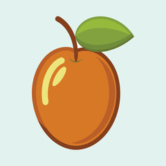 vector illustration of a jujube fruit
