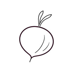 Beetroot Sketch Line Drawing Icon Vector