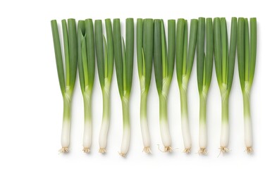 A row of fresh green onions with white bulbs and green stalks on a white background, viewed from above.