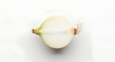 Fresh white onion cut in half, revealing its distinct layers on a clean white background from an overhead view.