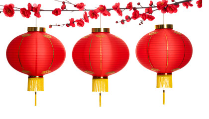 Beautiful Chinese New Year lantern set on white background