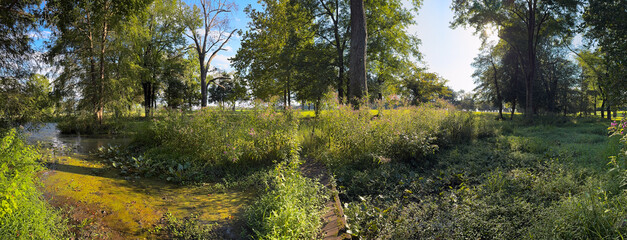 A rickety bridge crossing over to an island in a pond.