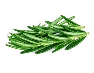 Fresh rosemary sprigs against white background