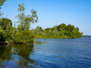 bThe entry to a winding creek on the rappahannock river