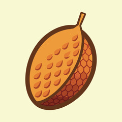 Illustration of a Salak Fruit with Distinctive Textured Skin on Light Yellow Background