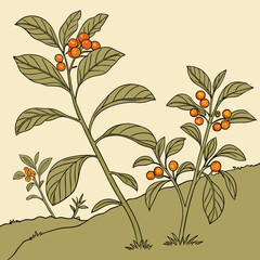 Stylized illustration of branches with green leaves and small orange fruits on a muted background