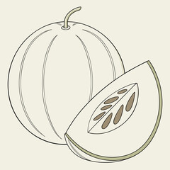 Simple line drawing of a whole cantaloupe melon and a slice showing seeds