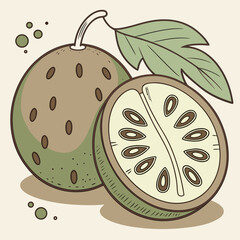 Illustration of a whole baobab fruit and a half cut baobab fruit with seeds and a leaf