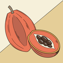 Stylized illustration of a whole papaya and a halved papaya revealing its seeds