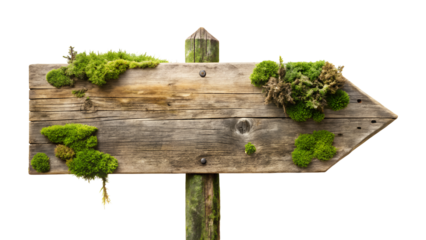 Rustic wooden arrow sign with moss isolated on transparent background for design