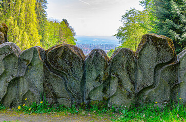landscape with trees