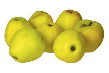 ripe tasty  apple with leaf isolated on white  Green apple Vibrant red apple with a fresh green leaf showcases healthy eating and natural beauty