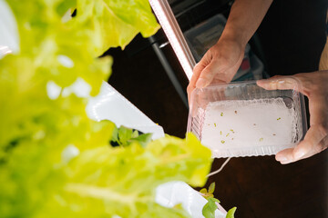 High-angle view of farmer holding tray of sprouted seeds, showcasing initial stages of plant growth...