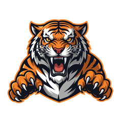 Fierce roaring tiger head with sharp claws, an aggressive mascot emblem vector illustration for a sports team