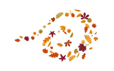 Fall foliage in whirl, vortex. Autumn tree leaves flying in air in spiral, swirl shape, twirl motion, dynamic rotation pattern in wind. Seasonal flat vector illustration isolated on white background