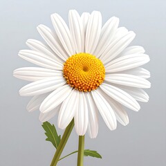 Naklejka premium A detailed illustration of a single, vibrant daisy, showcasing its delicate petals and a bright yellow center.