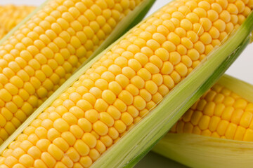 新鮮なとうもろこし　Fresh Sweet Corn