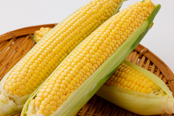 新鮮なとうもろこし　Fresh Sweet Corn