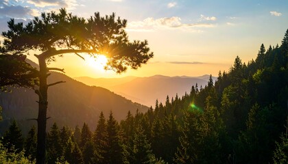 Majestic sunset over a mountain range with a prominent pine tree