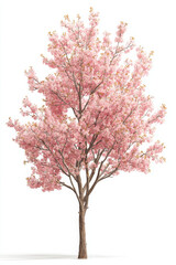 Naklejka premium Vibrant pink cherry blossom tree in full bloom evokes joyful feeling